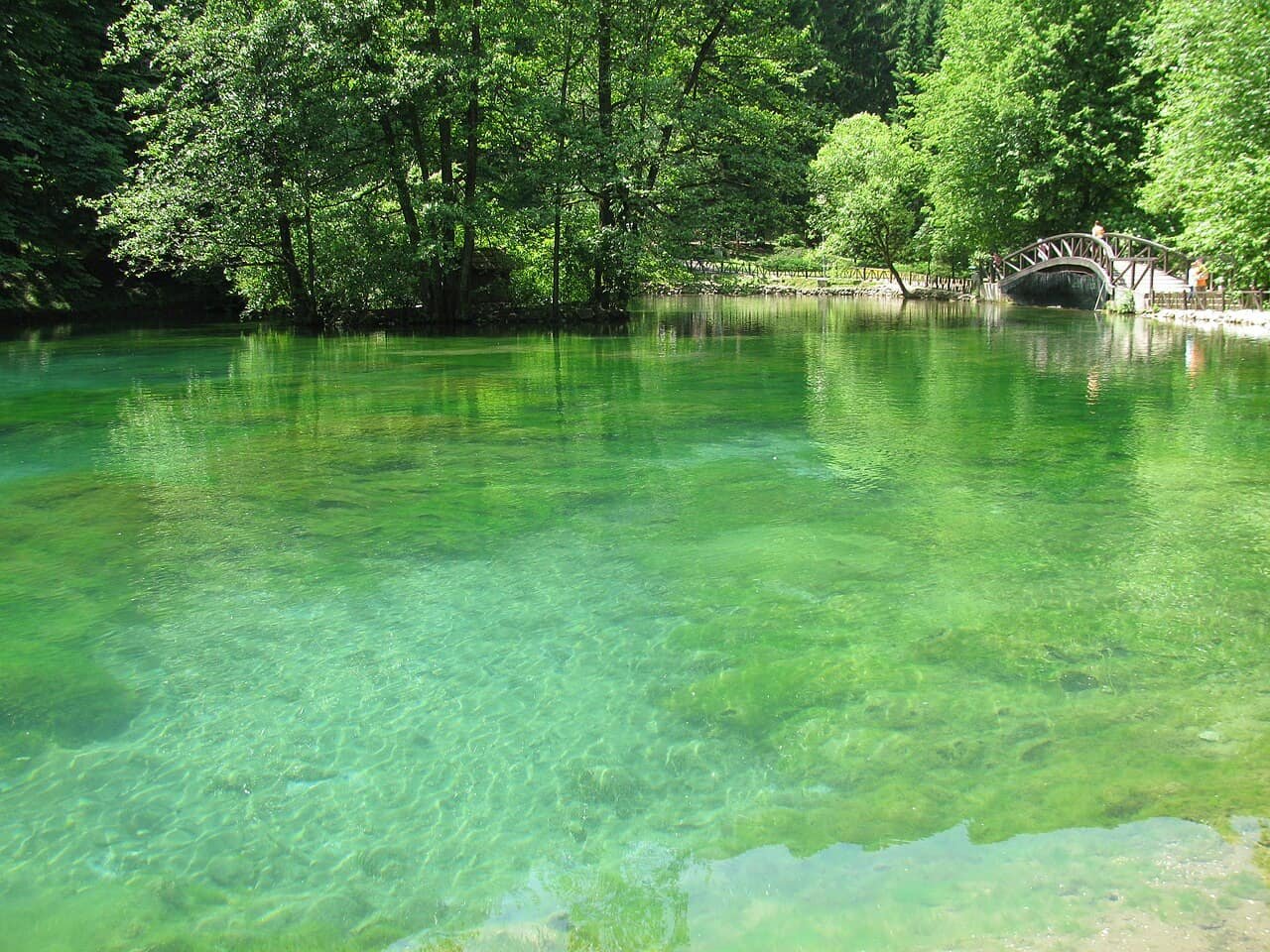مياه وأشجار في منطقة فريلو بوسنه قرب إليجا
