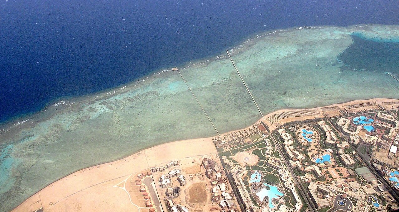 نبق في مصر