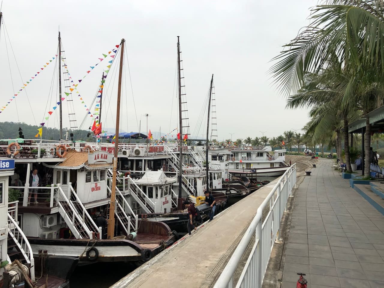 قوارب راسية في جزيرة توان تشاو